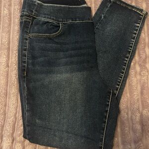 Lane Bryant Dark Wash Blue Jeggings
